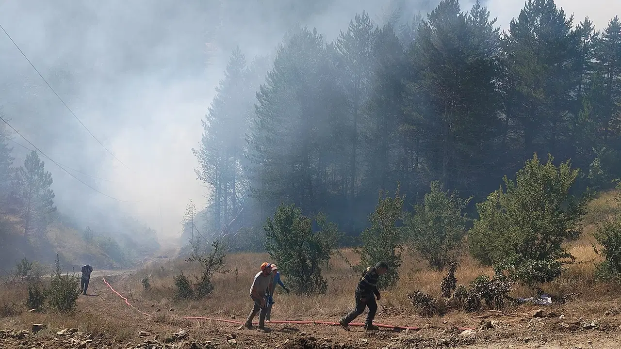 Adalet Bakanı Akın Gürlek: Son Bir Haftada 64 Orman Yangını ve 11 Tutuklama ile İlgili Detaylar