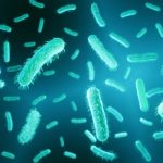 E nedir? Coli (Escherichia coli) ve nasıl bulaşır? E.coli bakterisi tehlikeli midir?