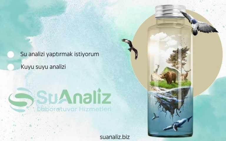Su Analizi Yaptırmak İstiyorum: Hangi Sıklıkla Yaptırmalıyım?