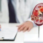 Atılım sistemi nedir, görevleri nelerdir? Boşaltım sisteminin organları nelerdir?