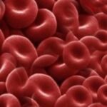 Eritrosit (RBC) nedir? İdrardaki eritrositlerin yüksekliği nedir?