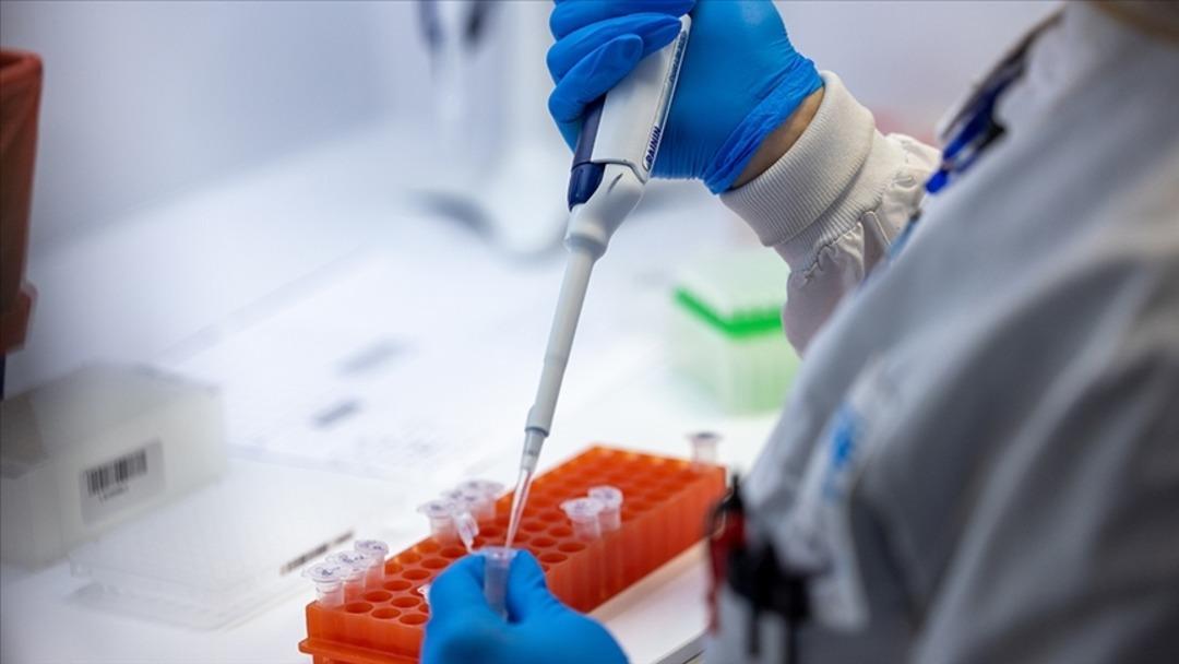 DSÖ M-pox Virüsü Uyarısı: Salgın kıtayı aştı! Kontrol altında tutmak 3