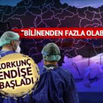 Türkiye’de yıllar sonra ölümcül hastalık! Korkutucu belirtileri olan deli dana vakaları paniğe yol açtı: ‘Yenileri de ortaya çıkabilir’